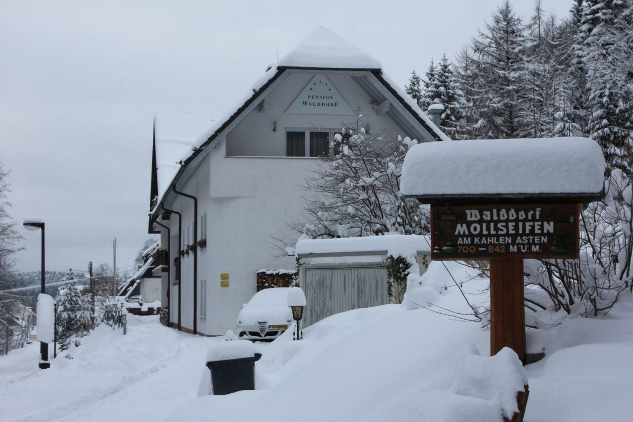 Pension Walddorf Winterberg Exterior photo