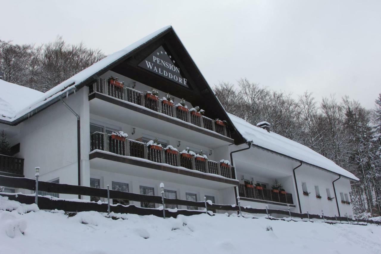 Pension Walddorf Winterberg Exterior photo
