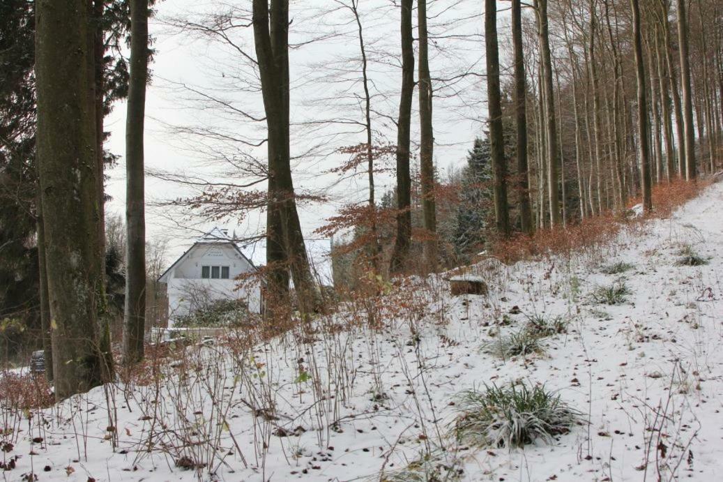 Pension Walddorf Winterberg Exterior photo