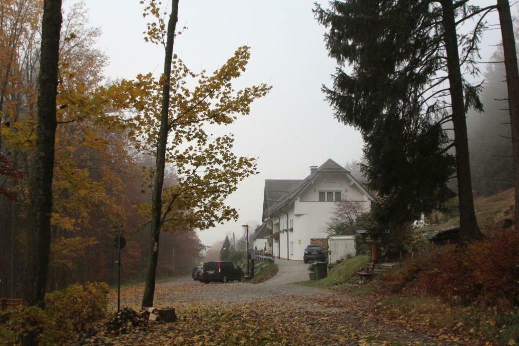 Pension Walddorf Winterberg Exterior photo