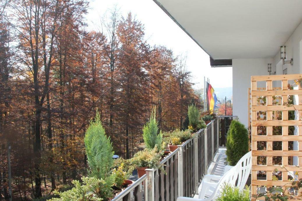 Pension Walddorf Winterberg Exterior photo