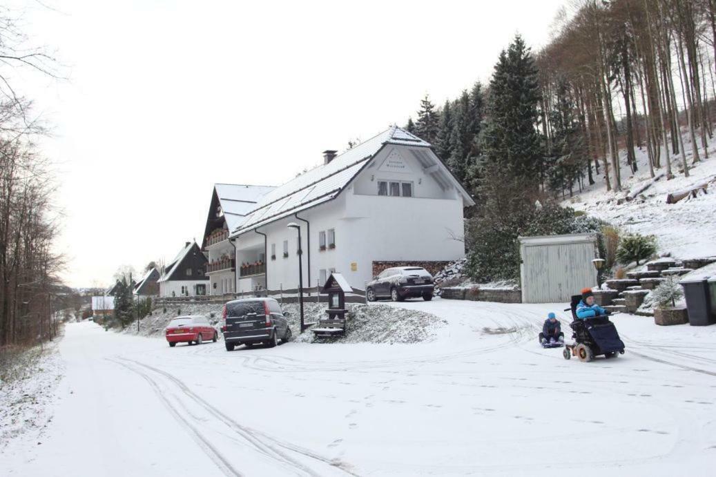 Pension Walddorf Winterberg Exterior photo