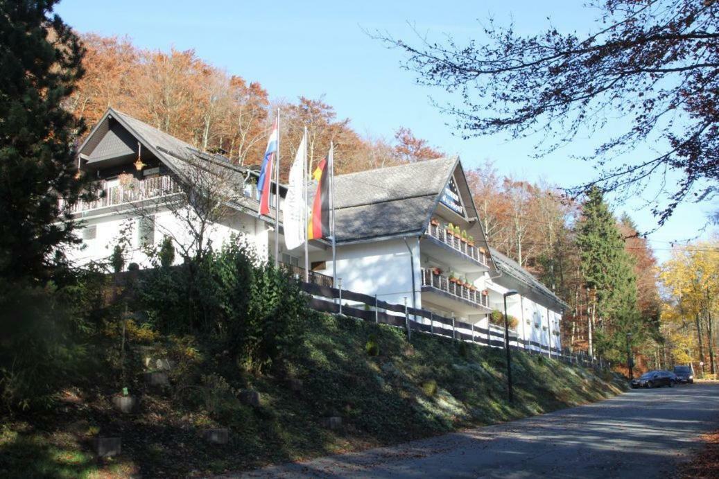 Pension Walddorf Winterberg Exterior photo